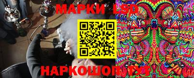 марки nbome Гусев
