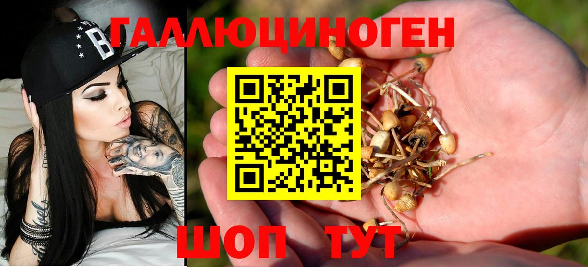 Галлюциногенные грибы Psilocybine cubensis  Галлюциногенные грибы мухоморы  Муром  Вход с VPN 